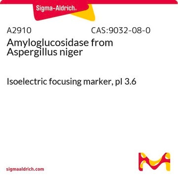 Aminoglucosidasa from Aspergillus niger Isoelectric focusing marker, pI&#160;3.6