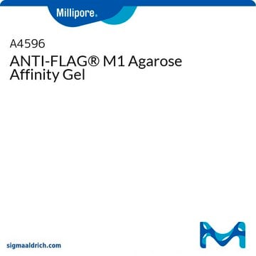 Gel d’agarose d’affinité ANTI-FLAG&#174; M1