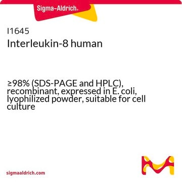 Interleukin-8 human &#8805;98% (SDS-PAGE and HPLC), recombinant, expressed in E. coli, lyophilized powder, suitable for cell culture