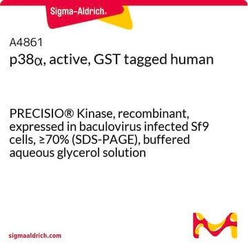 p38&#945;, active, GST tagged human PRECISIO&#174; Kinase, recombinant, expressed in baculovirus infected Sf9 cells, &#8805;70% (SDS-PAGE), buffered aqueous glycerol solution