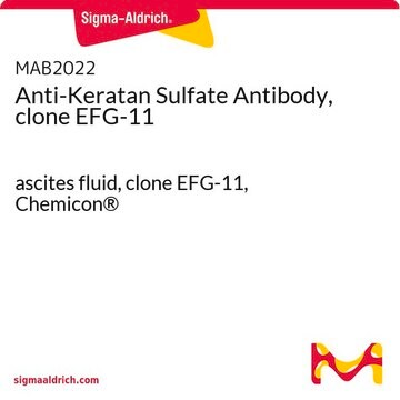 Anticuerpo anti-sulfato de queratán, clon EFG-11 ascites fluid, clone EFG-11, Chemicon&#174;