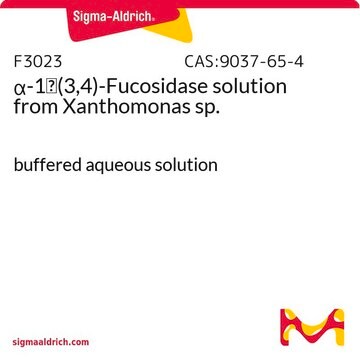 &#945;-1&#8594;(3,4)-Fucosidase solution from Xanthomonas sp. buffered aqueous solution