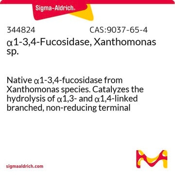 &#945;1-3,4-Fucosidase, Xanthomonas sp. Native &#945;1-3,4-fucosidase from Xanthomonas species. Catalyzes the hydrolysis of &#945;1,3- and &#945;1,4-linked branched, non-reducing terminal fucose from complex carbohydrates. Note: 1 mU = 1 milliunit.