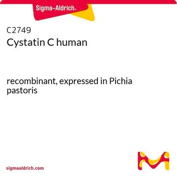 Cystatin C human recombinant, expressed in Pichia pastoris