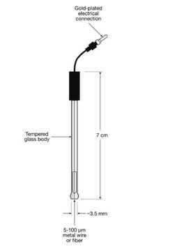 Platinum Microelectrode diam. 10&#160;&#956;m