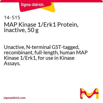 MAP Kinase 1/Erk1 Protein, inactive, 50 g Unactive, N-terminal GST-tagged, recombinant, full-length, human MAP Kinase 1/Erk1, for use in Kinase Assays.