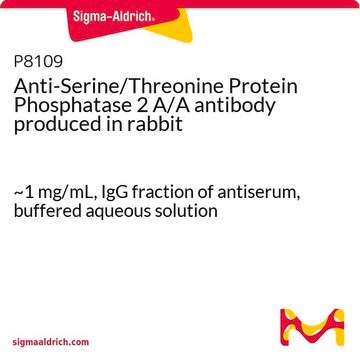 Anti-Serine/Threonine Protein Phosphatase 2 A/A antibody produced in rabbit ~1&#160;mg/mL, IgG fraction of antiserum, buffered aqueous solution