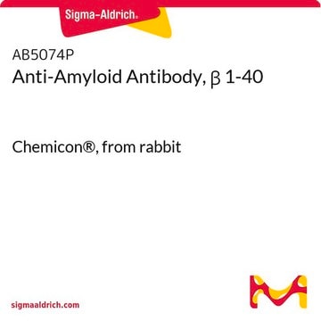 Anticuerpo antiamiloide, &#946; 1-40 Chemicon&#174;, from rabbit