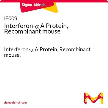 Proteína interferón-&#945; A recombinante humana Interferon-&#945; A Protein, Recombinant mouse.