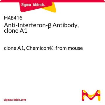 Anti-Interferon-&#946; Antibody, clone A1 clone A1, Chemicon&#174;, from mouse