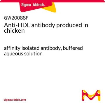 Anti-HDL antibody produced in chicken affinity isolated antibody, buffered aqueous solution