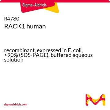 RACK1 human recombinant, expressed in E. coli, &gt;90% (SDS-PAGE), buffered aqueous solution