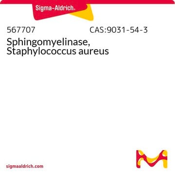 Sphingomyelinase, Staphylococcus aureus