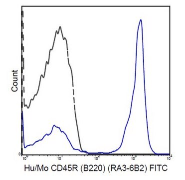 Anti-CD45R (B220) Antibody (human/mouse), FITC, clone RA3-6B2 clone RA3-6B2, 0.5&#160;mg/mL, from rat