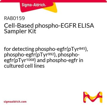 Cell-Based phospho-EGFR ELISA Sampler Kit for detecting phospho-egfr(pTyr845), phospho-egfr(pTyr992), phospho-egfr(pTyr1068) and phospho-egfr in cultured cell lines