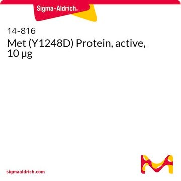 Met (Y1248D) Protein, active, 10 µg