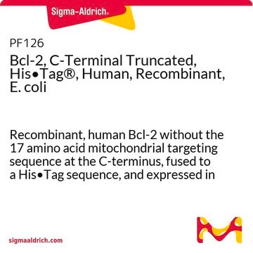 Bcl-2, C-Terminal Truncated, His&#8226;Tag&#174;, Human, Recombinant, E. coli Recombinant, human Bcl-2 without the 17 amino acid mitochondrial targeting sequence at the C-terminus, fused to a His&#8226;Tag sequence, and expressed in E. coli.