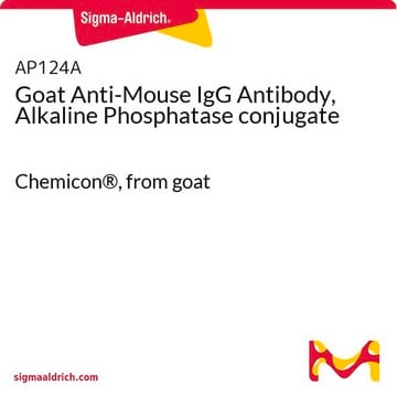 Anti-Maus-IgG-Antikörper der Ziege, Konjugat mit alkalischer Phosphatase Chemicon&#174;, from goat