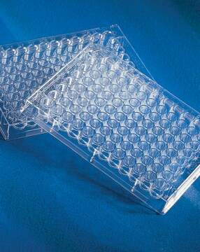 Standard PCR microtubes Rigid PCR plate (96 well, low profile)