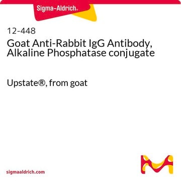 Anticuerpo IgG de cabra anti-conejo, conjugado de fosfatasa alcalina Upstate&#174;, from goat