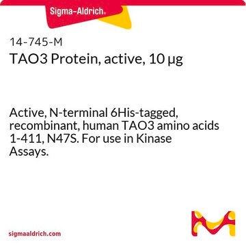 TAO3 Protein, active, 10 &#181;g Active, N-terminal 6His-tagged, recombinant, human TAO3 amino acids 1-411, N47S. For use in Kinase Assays.