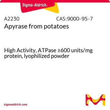 Apirasa from potatoes High Activity, ATPase &#8805;600&#160;units/mg protein, lyophilized powder