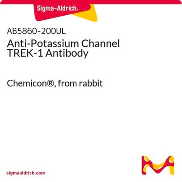 Anti-Potassium Channel TREK-1 Antibody Chemicon&#174;, from rabbit