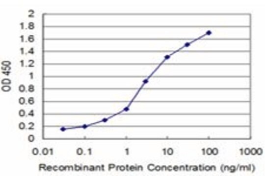 Monoclonal Anti-HEY1 antibody produced in mouse clone 4B3, purified immunoglobulin, buffered aqueous solution