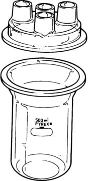 Pyrex&#174; resin reaction kettles capacity 3,000&#160;mL