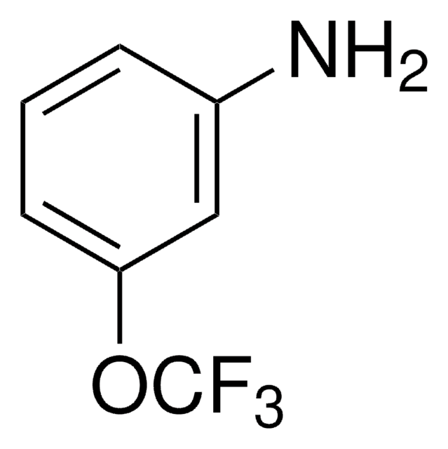 3-(Trifluoromethoxy)aniline 98%