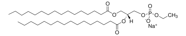 16:0 Phosphatidylethanol 1,2-dipalmitoyl-sn-glycero-3-phosphoethanol (sodium salt), powder