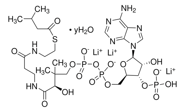 Isovaleryl coenzyme A lithium salt hydrate &#8805;90%