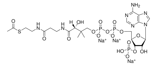 02:0 Coenzyme A Avanti Research&#8482; - A Croda Brand 870702P, powder