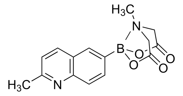 2-Methylquinoline-6-boronic acid MIDA ester 95%