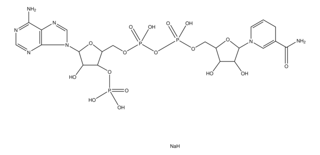 &#945;-Nicotinamide adenine dinucleotide phosphate, reduced sodium salt &#8805;90% (HPLC)