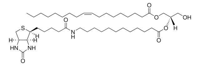 18:1-12:0 Biotin DG Avanti Research&#8482; - A Croda Brand 860556C