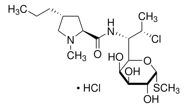 Clindamycine hydrochloride lincosamide antibiotic