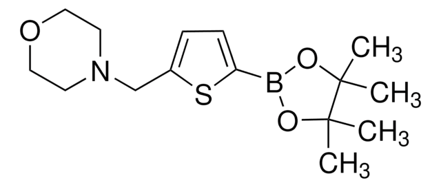 5-(Morpholinomethyl)-2-thiopheneboronic acid pinacol ester 95%