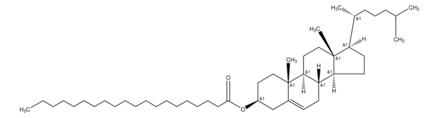 Cholesteryl arachidate ~99% (HPLC; detection at 205&#160;nm)