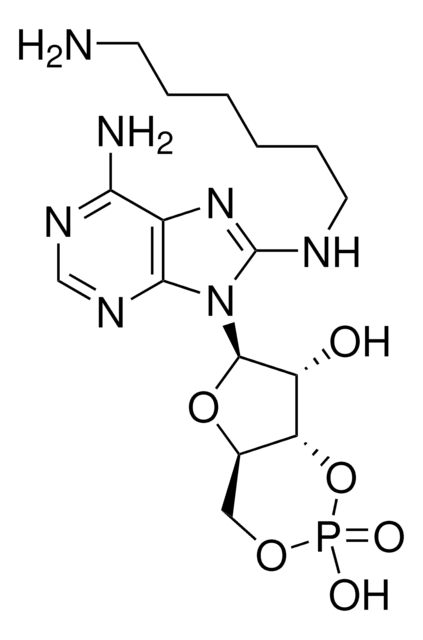 8-(6-Aminohexyl)aminoadenosine 3&#8242;:5&#8242;-cyclic monophosphate ~98%