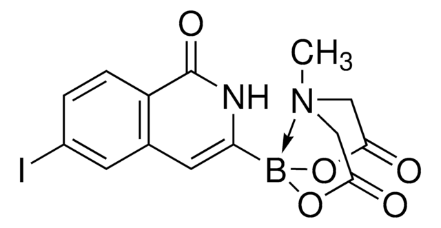 3-(6-Iodoisoquinolin-1(2H)-one) MIDA boronate