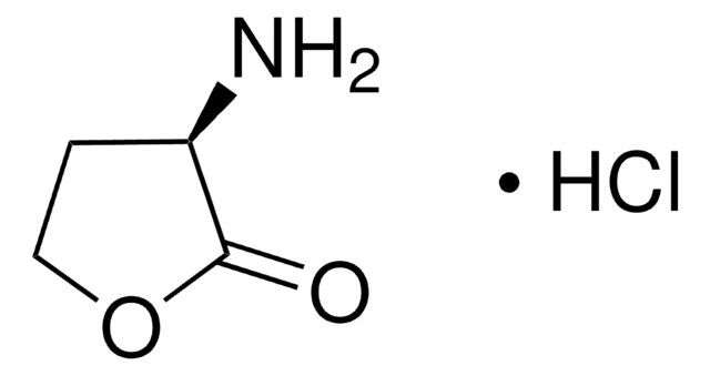 (R)-(+)-&#945;-Amino-&#947;-butyrolactone hydrochloride 97%