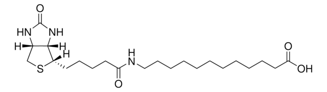 12:0 N-Biotinyl Fatty Acid Avanti Research&#8482; - A Croda Brand 860557P, powder