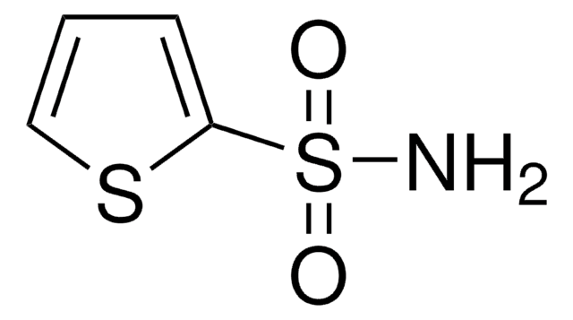 2-Thiophenesulfonamide 96%