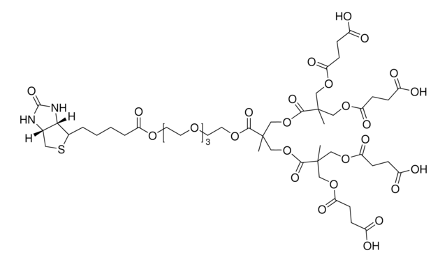 Polyester bis-MPA dendron generation 2, no. Surface Groups 4