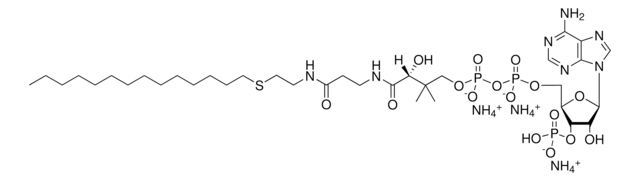 14:0 Ether Coenzyme A Avanti Research&#8482; - A Croda Brand 870735P, powder