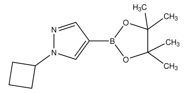 1-Cyclobutyl-1H-pyrazole-4-boronic acid pinacol ester AldrichCPR