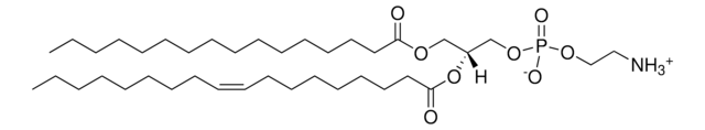 Egg Trans PE L-&#945;-phosphatidylethanolamine, transphosphatidylated (Egg, Chicken), chloroform