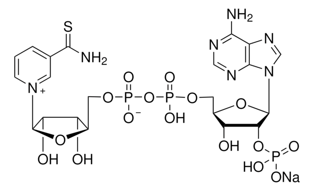 Thionicotinamide adenine dinucleotidephosphate sodium salt &#8805;95%