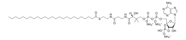 25:0 Coenzyme A Avanti Research&#8482; - A Croda Brand 870729P, powder